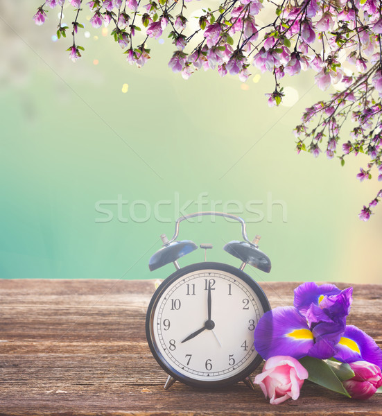 Spring time concept Stock photo © neirfy