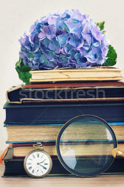 Foto stock: Velho · livros · flores · olhando · vidro