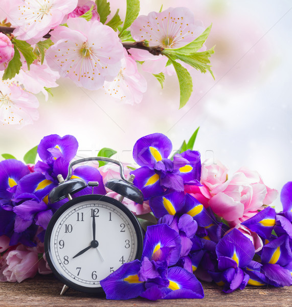 Spring time concept Stock photo © neirfy