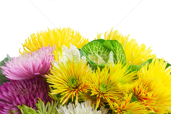Chrisantemum flowers bouquet Stock photo © neirfy