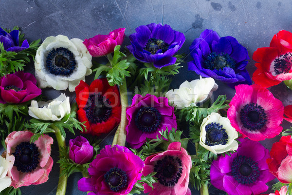 Anemones flowers on stone background Stock photo © neirfy