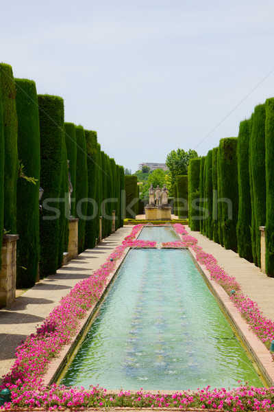 Gardens at the Alcazar of Cordoba, Spain Stock photo © neirfy