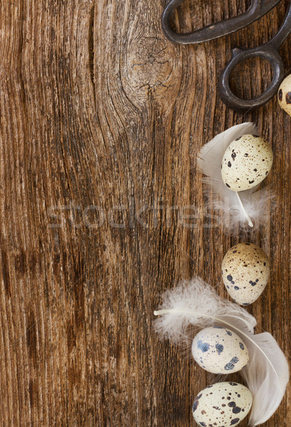 easter eggs and feathers Stock photo © neirfy