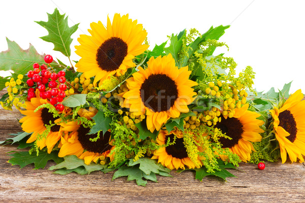 Stockfoto: Zonnebloemen · groene · bladeren · bos · Rood · bessen · hout