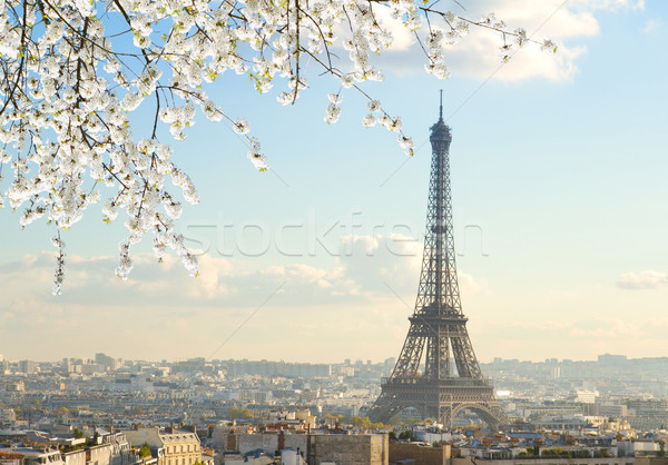 Stockfoto: Eiffel · tour · Parijs · stadsgezicht · zonnige · voorjaar