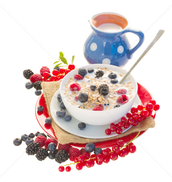 The oat flakes porridge with berries and milk Stock photo © neirfy