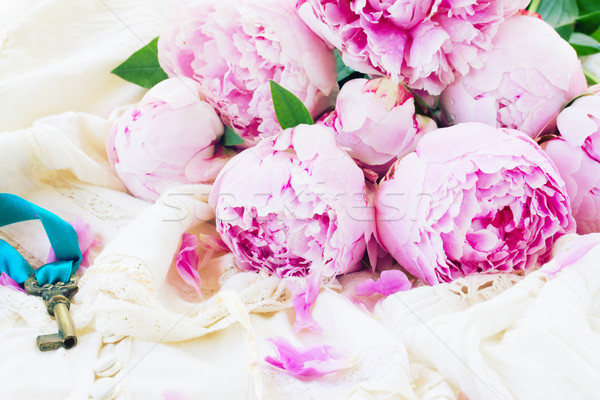 Сток-фото: розовый · цветы · ключевые · свежие · Vintage
