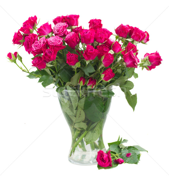 bunch of  fresh mauve roses Stock photo © neirfy