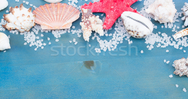 border os sea star and shells Stock photo © neirfy
