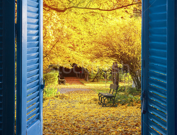 Stock photo: window to fall garden