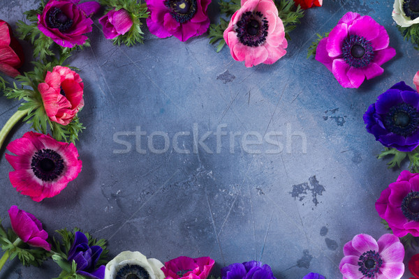 Flores pedra fresco quadro cinza Foto stock © neirfy