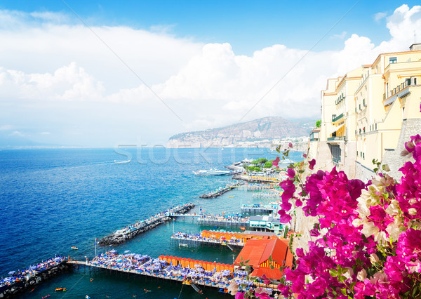 Déli Olaszország tengerpart virágok retro víz Stock fotó © neirfy