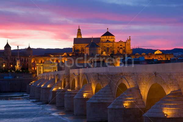 cathedral and roman bridge at night, Cordoba Stock photo © neirfy