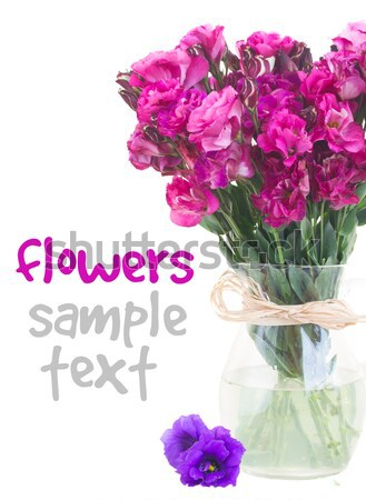 bunch of  mauve eustoma flowers Stock photo © neirfy