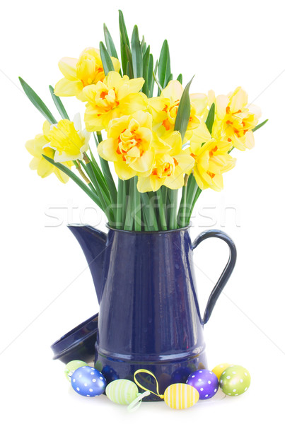 spring narcissus Stock photo © neirfy