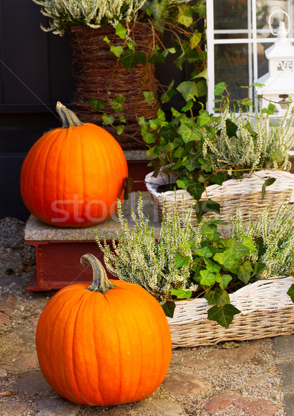 pumpkin and heather Stock photo © neirfy