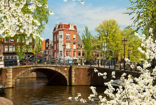 Canal anneau Amsterdam vue printemps jour Photo stock © neirfy