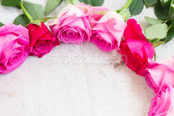 Rosa frescos rosas frontera blanco Foto stock © neirfy