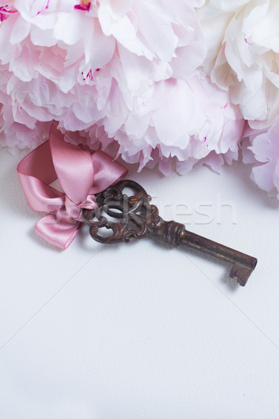 Stockfoto: Skelet · sleutel · bloemen · exemplaar · ruimte · liefde · bruiloft