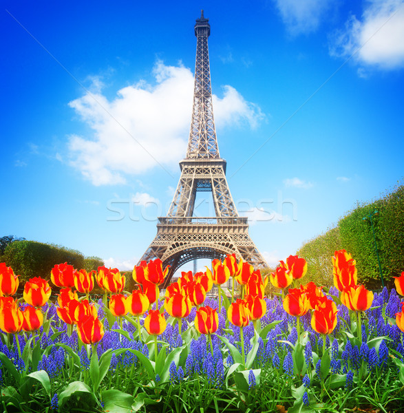 Eiffelturm Frühling Frankreich sonnig Tag Paris Stock foto © neirfy