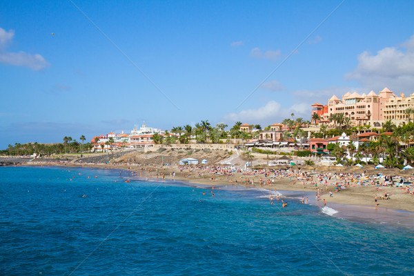 Tenerife Spania panoramic vedere coastă plajă Imagine de stoc © neirfy