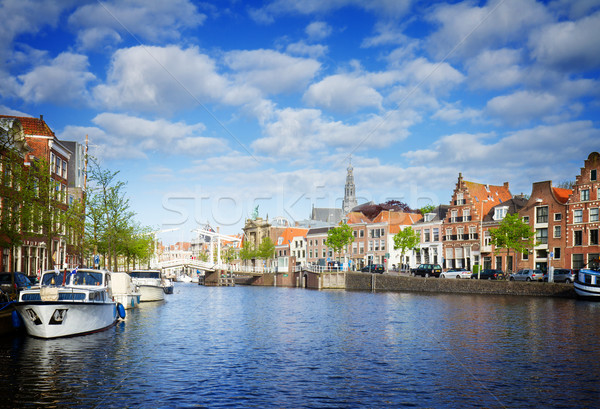 河 老 荷蘭 樹 春天 / spaarne river and old town n