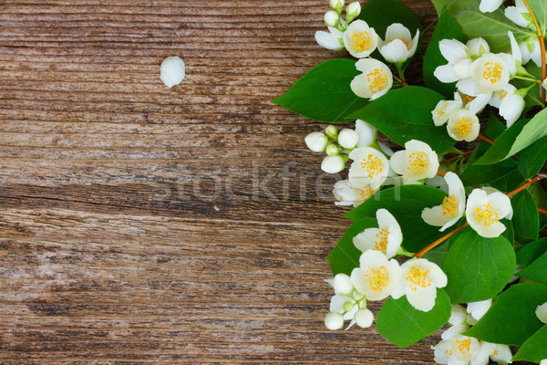 Jasmine flowers on wooden table Stock photo © neirfy