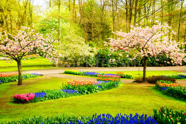 Formal spring garden Stock photo © neirfy