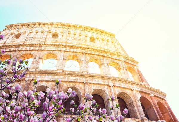 Colosseum zonsondergang Rome Italië ruines Stockfoto © neirfy