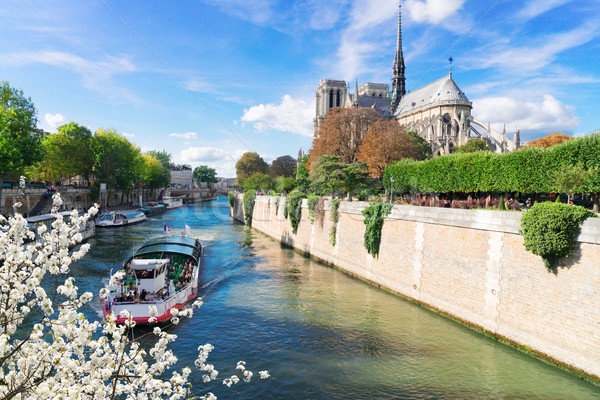Notre Dame-katedrális Párizs Franciaország folyó csónak tavaszi virágok Stock fotó © neirfy