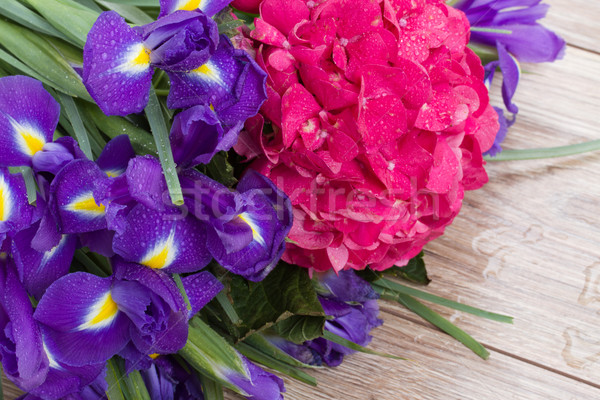 Iris flores rosa violeta banco Foto stock © neirfy
