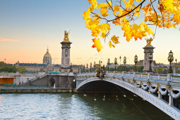 Bridge of Alexandre III,  Paris Stock photo © neirfy