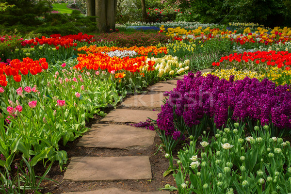 Stock photo: Stone path  winding in a garden