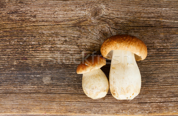 Boletus mushrooms on wooden background Stock photo © neirfy