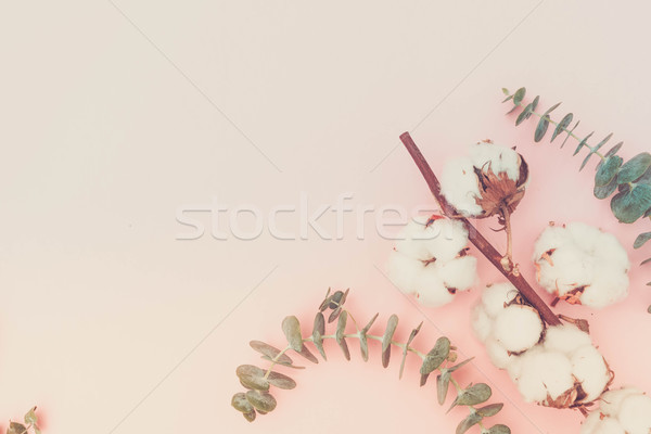 Stok fotoğraf: Pamuk · çiçekler · pembe · Retro · çiçek · dizayn