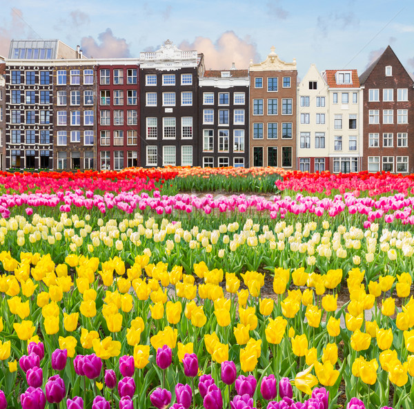 老 阿姆斯特丹 市容 歷史的 房屋 商業照片 © neirfy