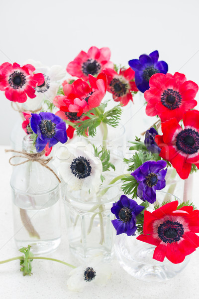 blue  anemone flowers  Stock photo © neirfy