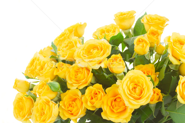 Foto d'archivio: Bouquet · fresche · rose · giallo