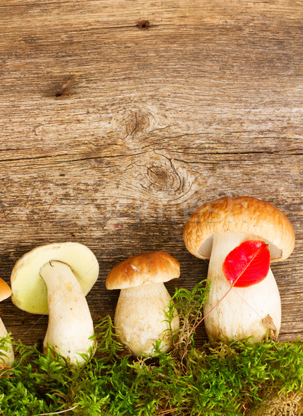 [[stock_photo]]: Cèpes · champignons · bois · brut · table · en · bois · espace · de · copie