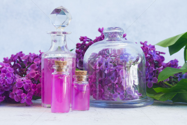 Liliowy esencja szkła świeże kwiaty charakter Zdjęcia stock © neirfy