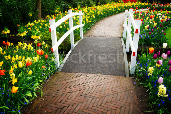 Stone walk way in garden Stock photo © neirfy