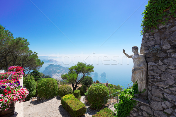 Eiland Italië zee tuin landschap Stockfoto © neirfy