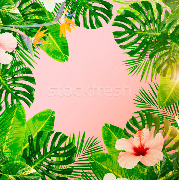 Tropical folhas verdes flores quadro rosa praia Foto stock © neirfy