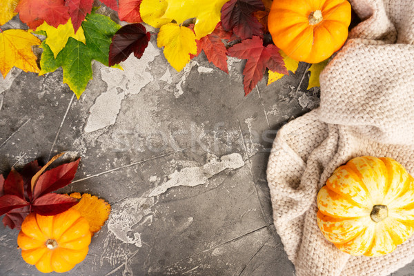 Thanksgiving pumpkins with fall leaves Stock photo © neirfy