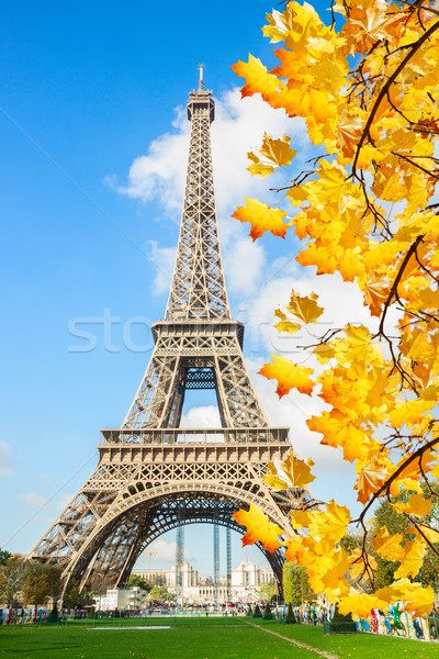 Eyfel Kulesi Fransa güneşli sonbahar gün Paris Stok fotoğraf © neirfy