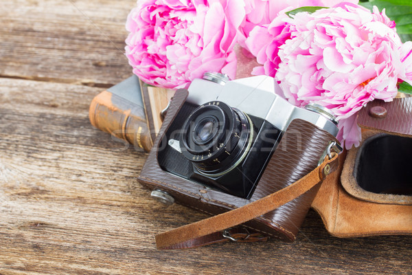 Foto d'archivio: Retro · foto · fotocamera · libri · fresche · rosa