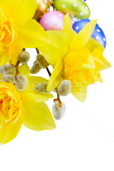 spring narcissus with eggs Stock photo © neirfy