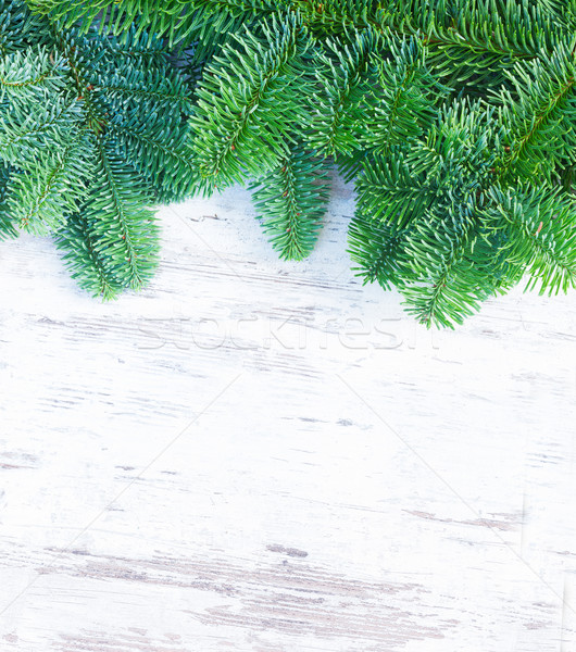 Christmas świeże wiecznie zielony drzewo Zdjęcia stock © neirfy