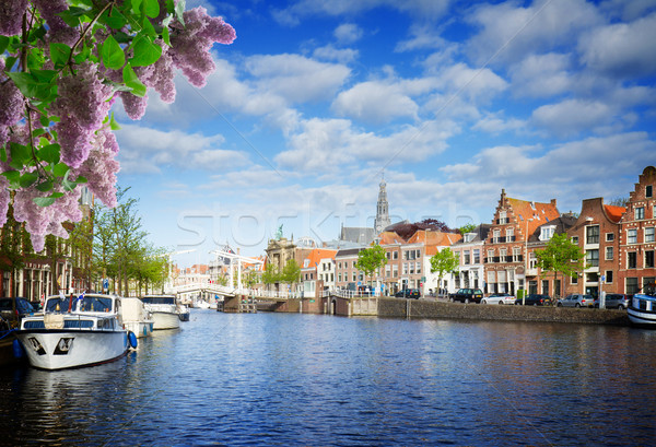 Río edad barrio antiguo Países Bajos lila flores Foto stock © neirfy