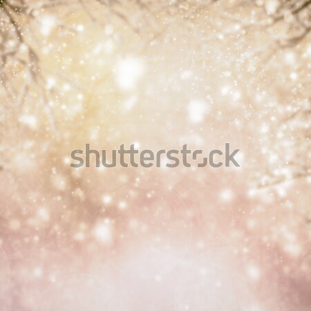 christmas background with fir tree and gleaming background Stock photo © neirfy
